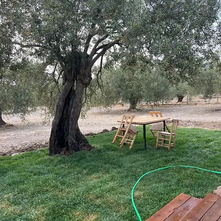 Vrasna Campsite