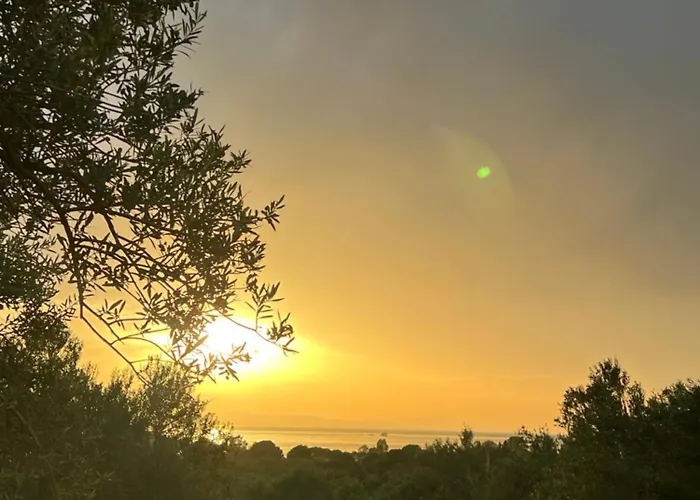 Vrasna Κάμπινγκ *