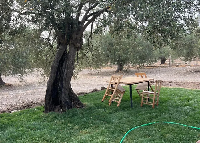 Vrasna Κάμπινγκ